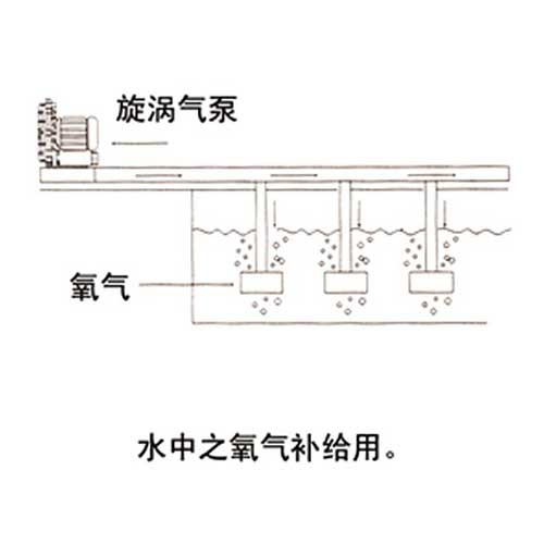養(yǎng)殖池的氧氣補(bǔ)給