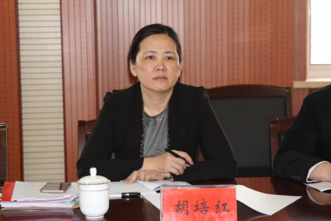 省港口集團(tuán)紀(jì)委胡培紅書記一行來(lái)我司調(diào)研